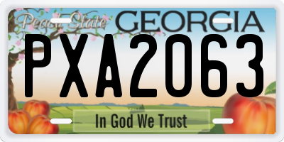 GA license plate PXA2063