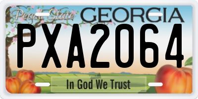 GA license plate PXA2064