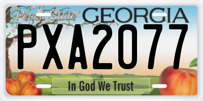 GA license plate PXA2077
