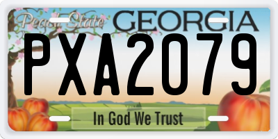 GA license plate PXA2079