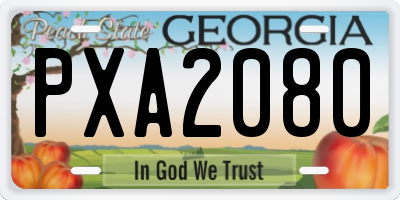 GA license plate PXA2080