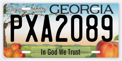 GA license plate PXA2089