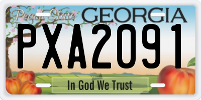 GA license plate PXA2091