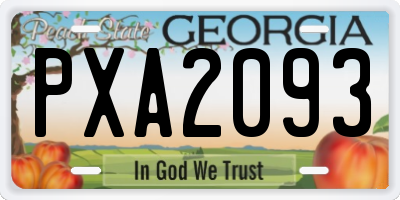 GA license plate PXA2093