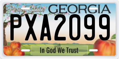 GA license plate PXA2099