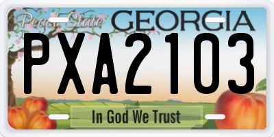 GA license plate PXA2103