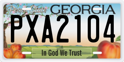 GA license plate PXA2104