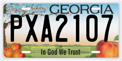 GA license plate PXA2107