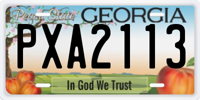 GA license plate PXA2113