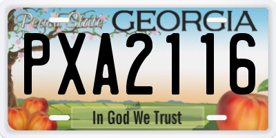 GA license plate PXA2116