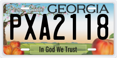 GA license plate PXA2118