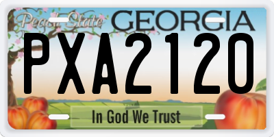 GA license plate PXA2120