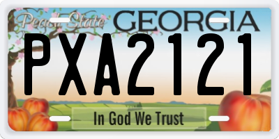 GA license plate PXA2121