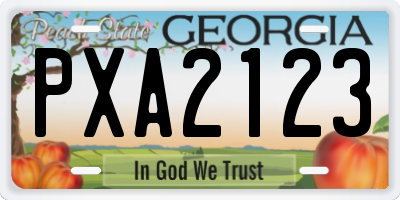 GA license plate PXA2123