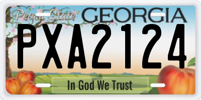 GA license plate PXA2124