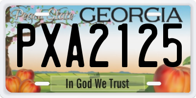 GA license plate PXA2125