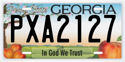 GA license plate PXA2127