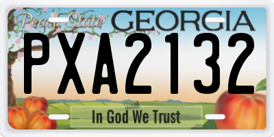 GA license plate PXA2132