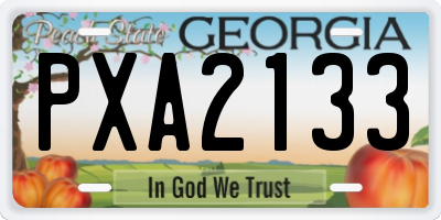 GA license plate PXA2133
