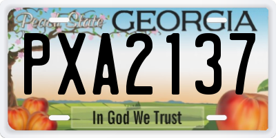 GA license plate PXA2137