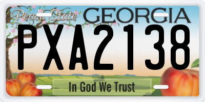 GA license plate PXA2138