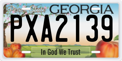 GA license plate PXA2139