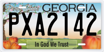 GA license plate PXA2142