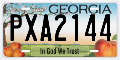 GA license plate PXA2144