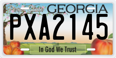 GA license plate PXA2145