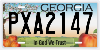GA license plate PXA2147