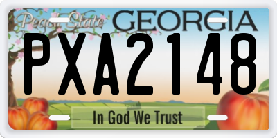 GA license plate PXA2148