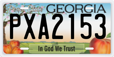 GA license plate PXA2153