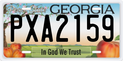 GA license plate PXA2159