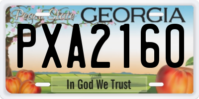GA license plate PXA2160