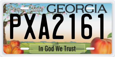 GA license plate PXA2161