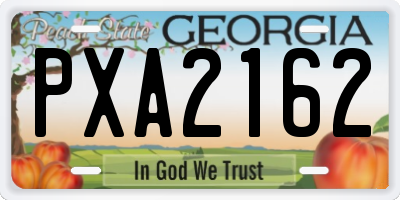 GA license plate PXA2162