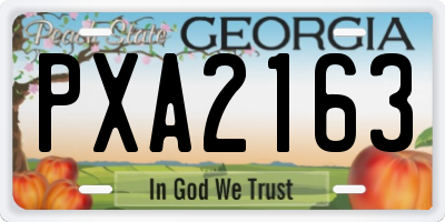 GA license plate PXA2163