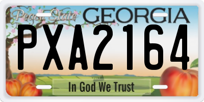 GA license plate PXA2164