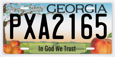 GA license plate PXA2165