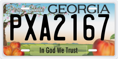 GA license plate PXA2167