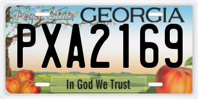 GA license plate PXA2169