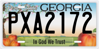 GA license plate PXA2172