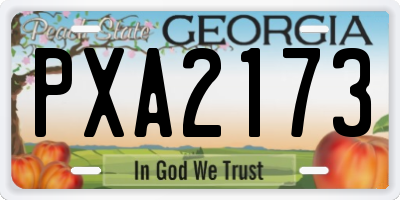 GA license plate PXA2173