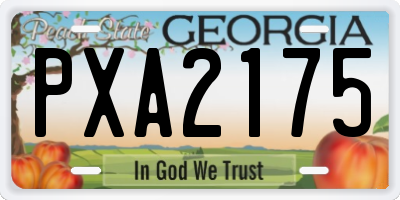 GA license plate PXA2175