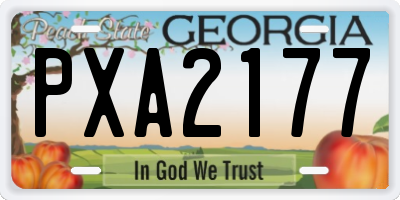 GA license plate PXA2177