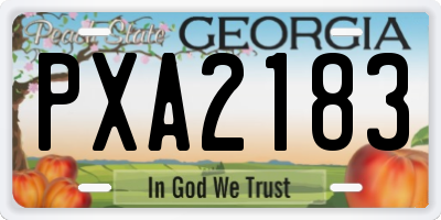 GA license plate PXA2183