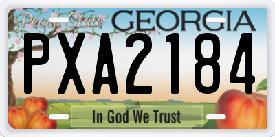 GA license plate PXA2184