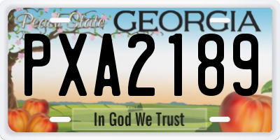 GA license plate PXA2189