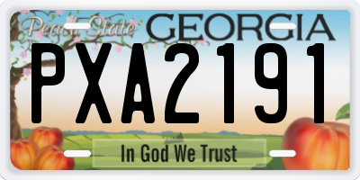 GA license plate PXA2191