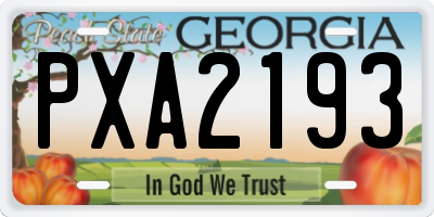 GA license plate PXA2193